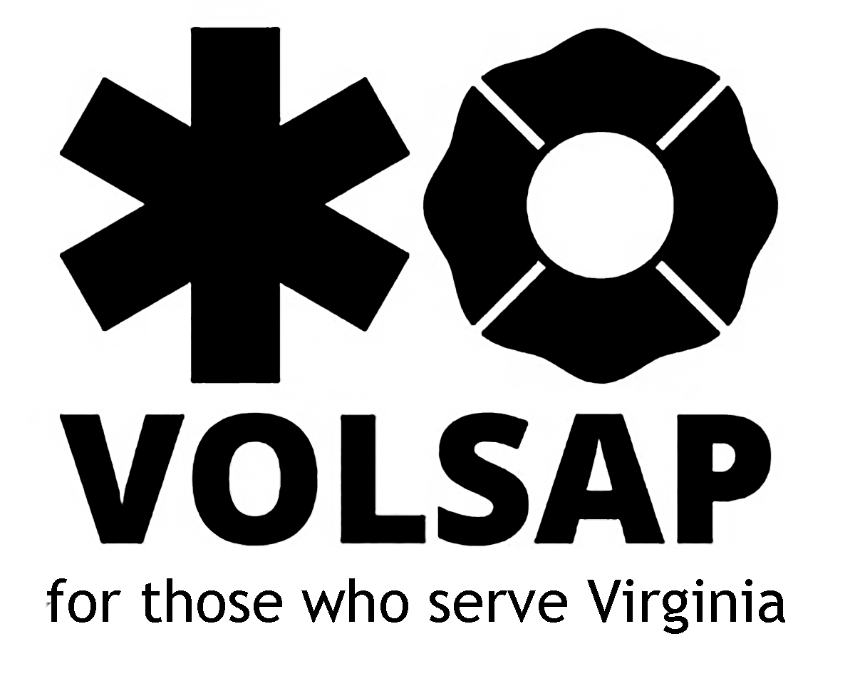 VOLSAP logo